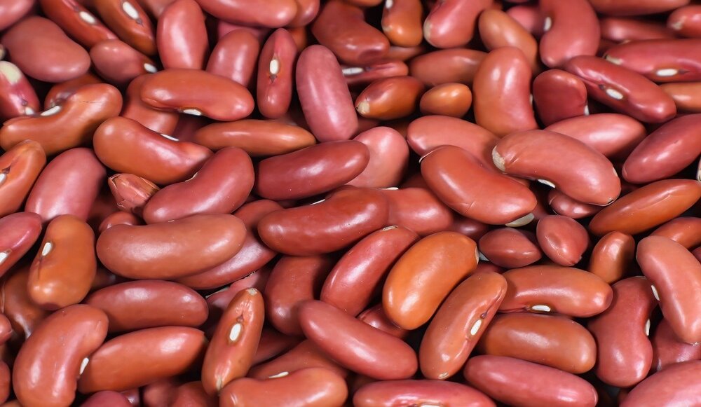 Red kidney beans